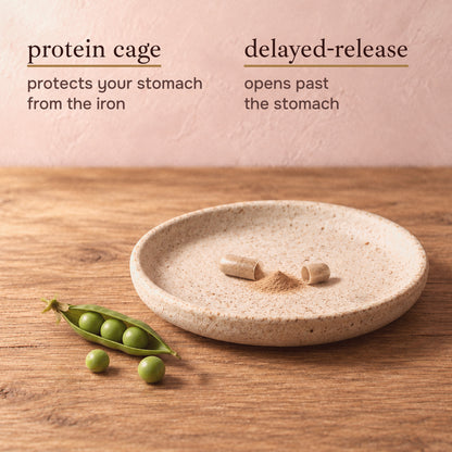 How Ferritin+ works: a protein cage protects your stomach from the iron and a delayed-release capsule opens past the stomach, shown as an opened capsule and its powder in a speckled stoneware dish beside a pea pod and peas on a wooden table