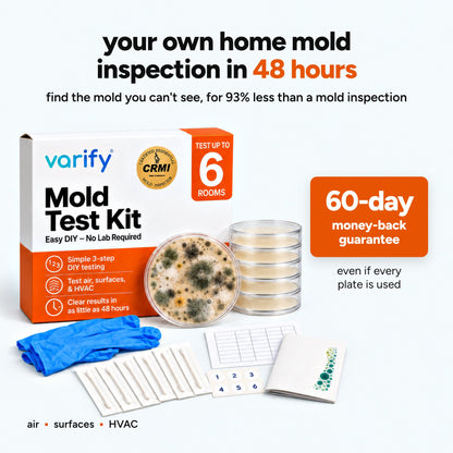 KlearMold 48-Hour Home Mold Test kit