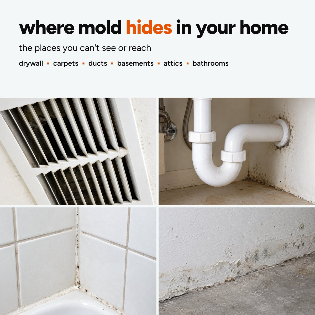 Where mold hides in a home