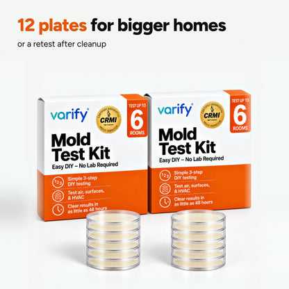 The 12-plate pack: 12 plates for bigger homes