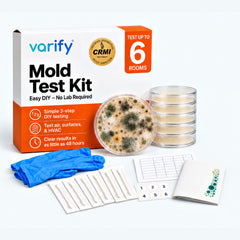 KlearMold 48-Hour Home Mold Test